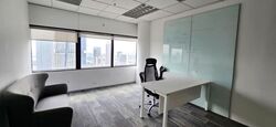 Raffles City Shopping Centre (D6), Office #583385201